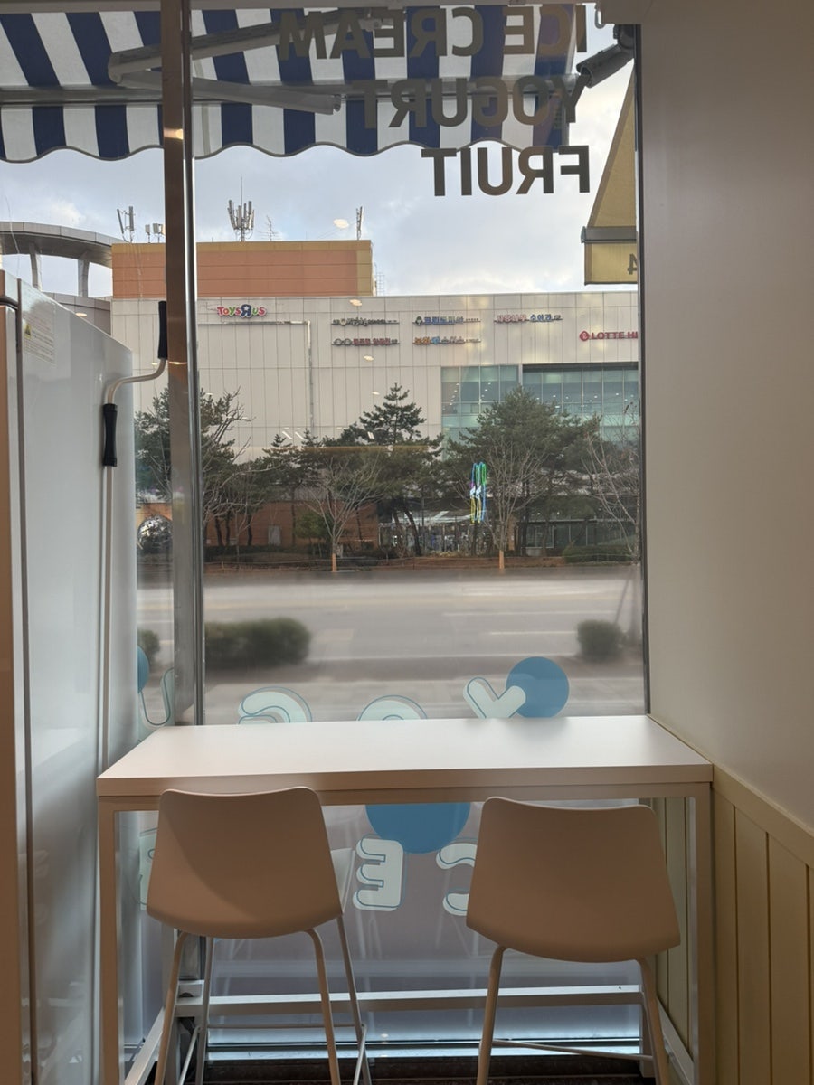 요거트아이스크림의정석 강원대점 사진 3