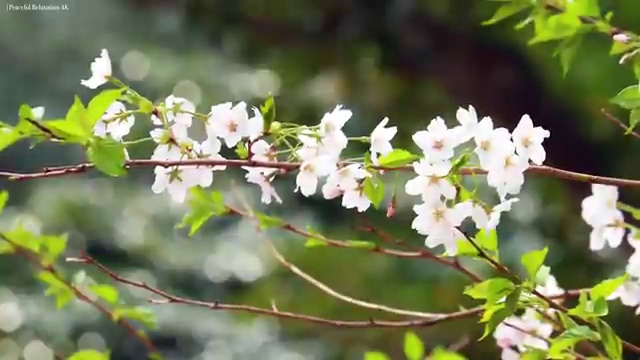  병원동행서비스 , 병원동행매니저 병원동행매니저 온라인으로 손쉽게 합격 후기 체크해보세요
