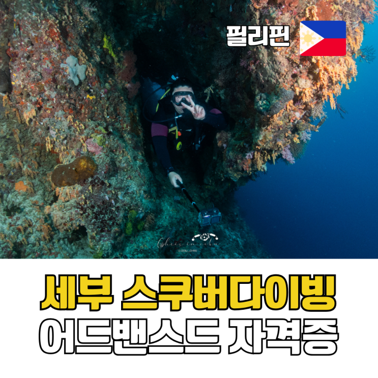  세부 스쿠버다이빙 어드밴스드 자격증 막탄 다이빙샵 업체 추천 퍼플오션다이브