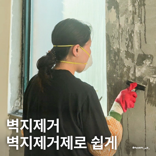  벽지제거제 사용방법 정말 편하게 벽지 제거 가능할까 벽지제거기