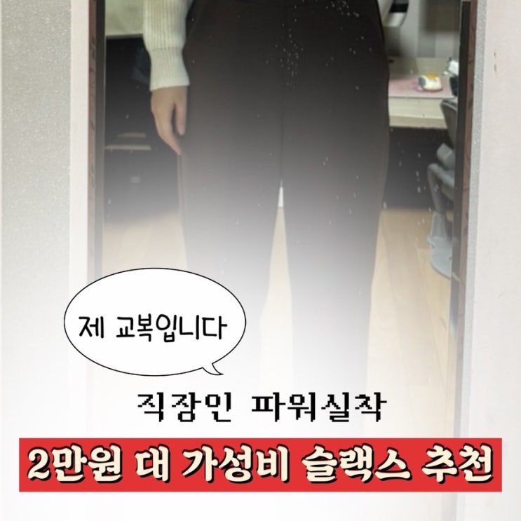  직장인 가성비 슬랙스 추천 | 교복처럼 입은 슬로우앤드 마켓 와이드 트레이닝 슬랙스 후기