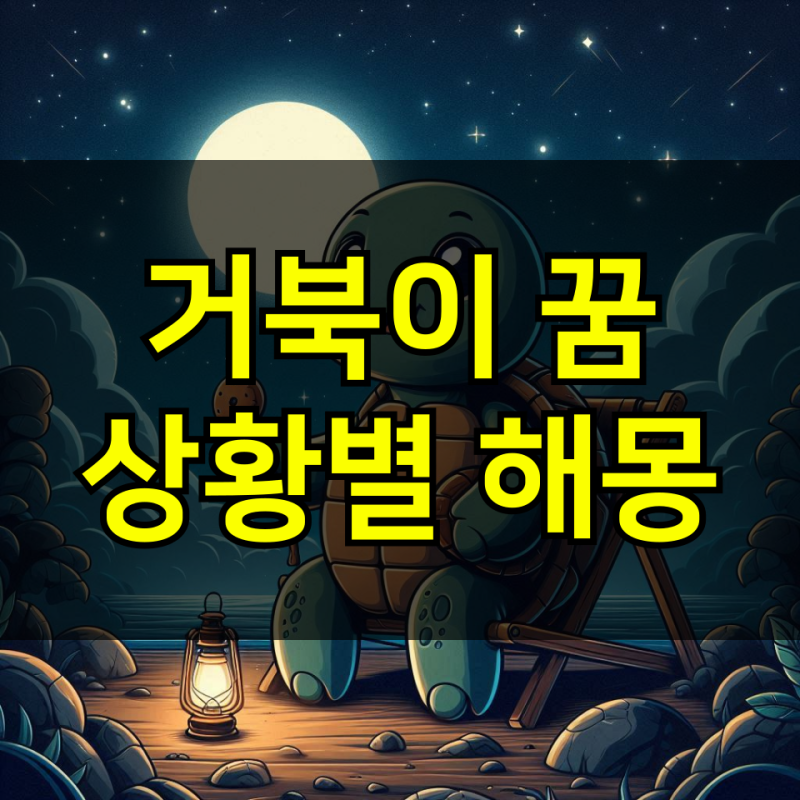 거북이꿈 해몽 거북이 나오는 꿈 의미는? 큰거북이꿈 풀이하기