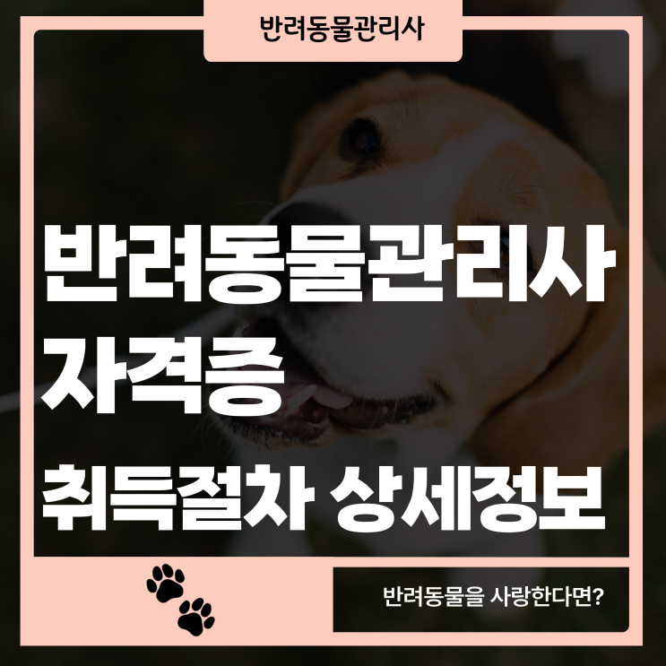 반려동물관리사자격증 취득절차 상세정보 반려동물관리사자격증 취득절차 상세정보