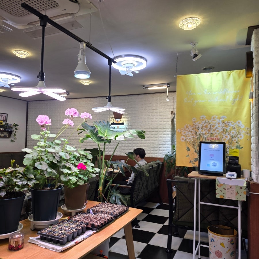 닥꼼 본점 사진 4