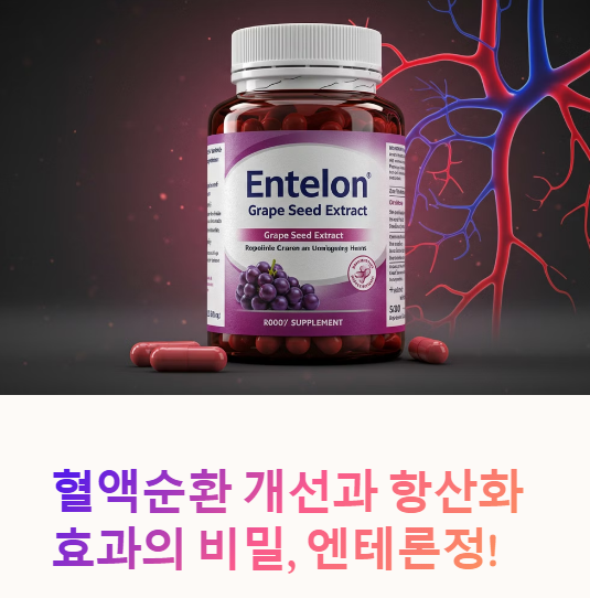  혈액순환 개선 엔테론정(Entelon) 완벽 분석! 효과, 복용법, 부작용 총정리