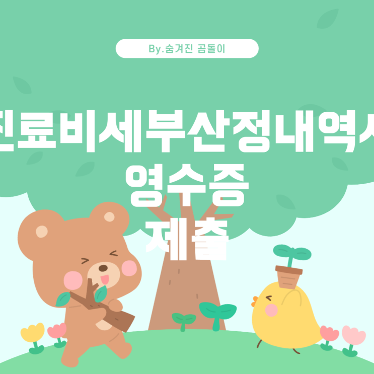  실손보험 신청 시 필요한 서류: 진료비세부산정내역서와 진료비 영수증