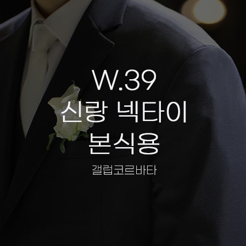  [W.39 신랑 넥타이 본식용] 화이트 넥타이 갤럽코르바타 클래식 트윌 솔리드 자동넥타이 프리미엄 YKK지퍼 아이보리 착용 후기