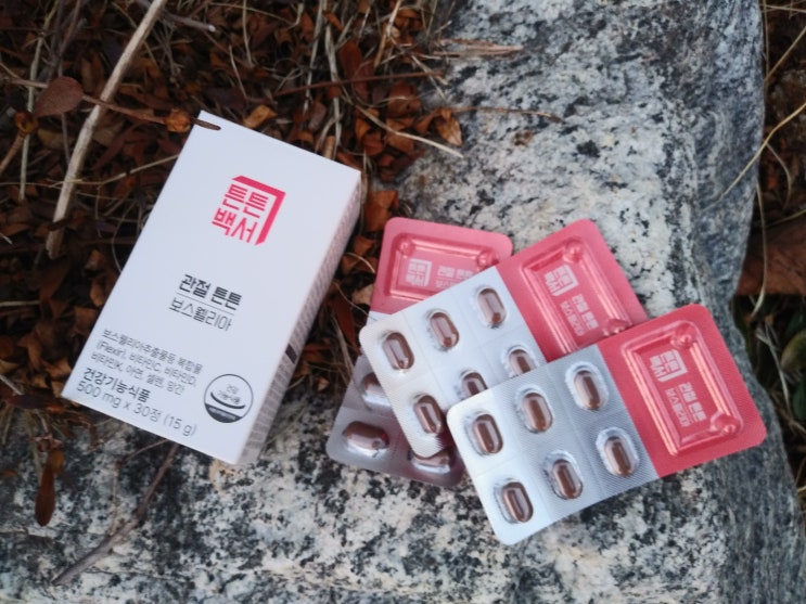 보스웰리아 추출물 로 관절 건강 지키기! 튼튼백서 관절 튼튼 보스웰리아 보스웰리아 추출물 로 관절 건강 지키기! 튼튼백서 관절 튼튼 보스웰리아