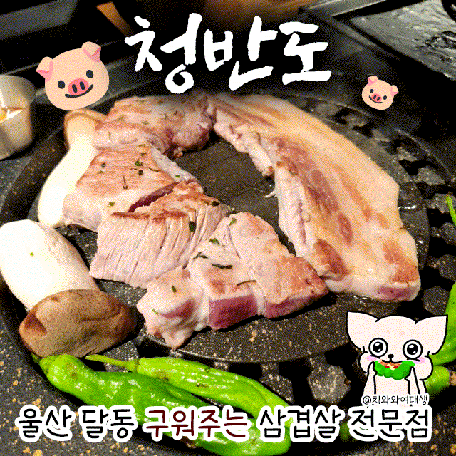  달동 맛집 삼겹살 청반도 구워주는 돼지고기 전문점