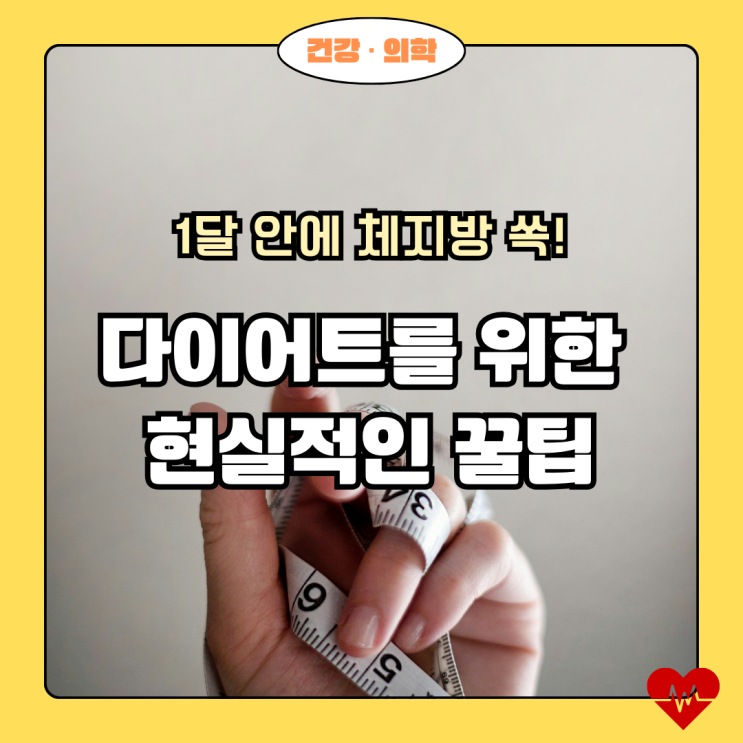  1달 안에 체지방 쏙!성공적인 다이어트를 위한 현실적인 꿀팁 대방출