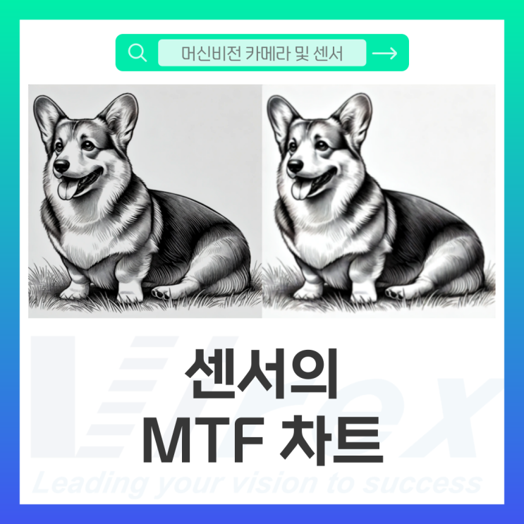 [카메라 및 센서] 센서(Sensor)의 MTF 차트