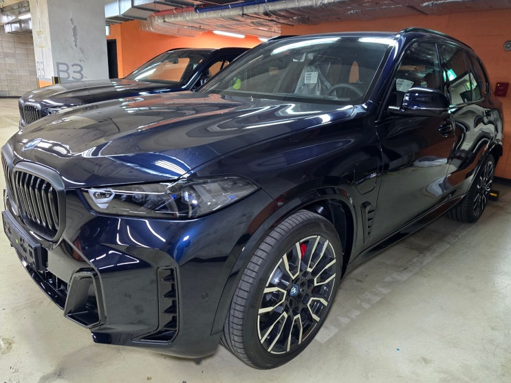 도이치 모터스 한남 전시장 2025 BMW X5 xDrive50e 신차 검수 과정과 후기