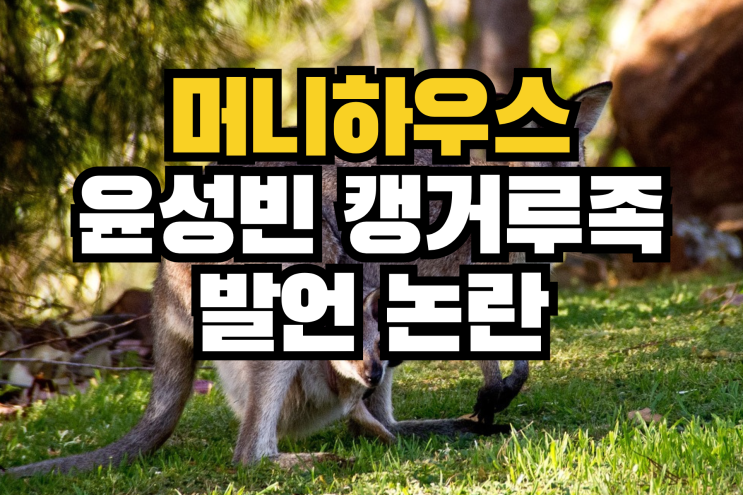 <b>윤성빈캥거루족</b> 발언 <b>논란</b> 유튜브 공인으로서 사과