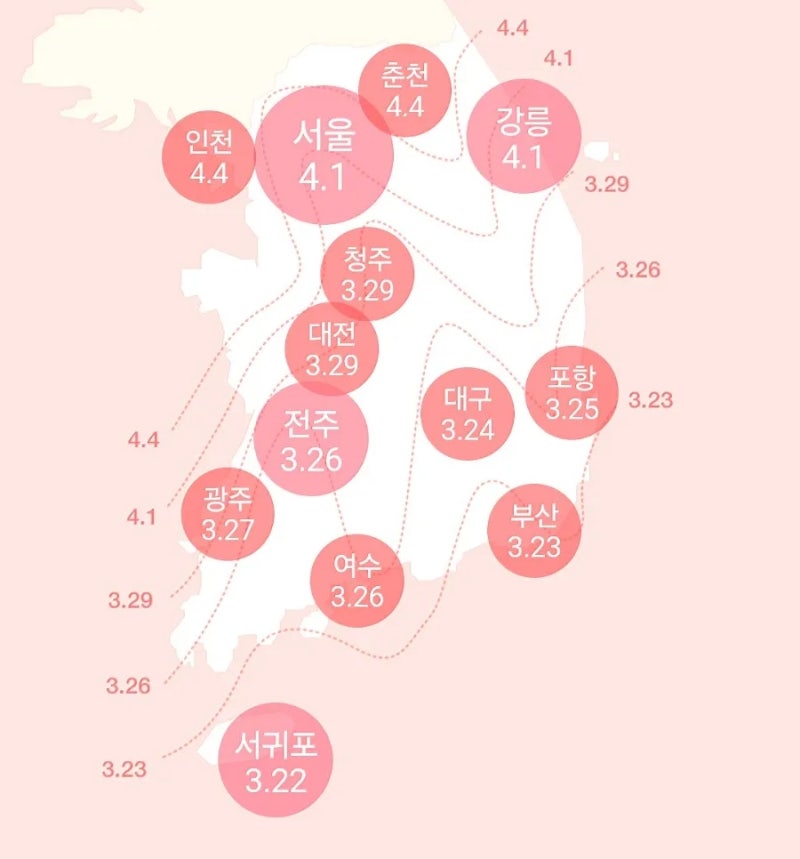 사진 10