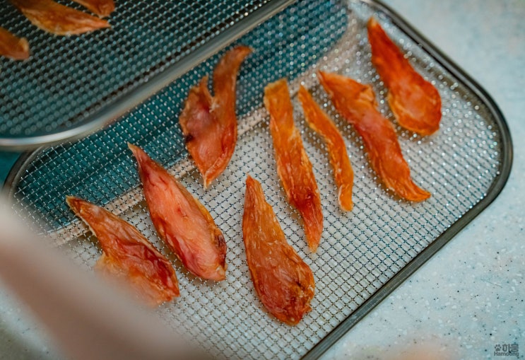  고양이 수제간식 만들기 닭가슴살 홈메이드간식 제조기 추천 리큅 식품건조기