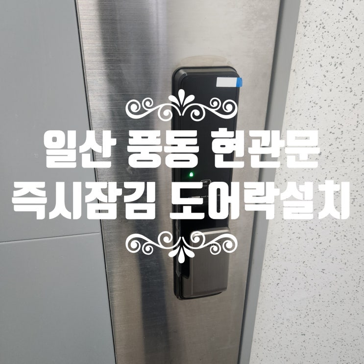  일산 풍동 즉시 잠김 IOT 도어락 설치 출장 열쇠! 요진와이하우스아파트