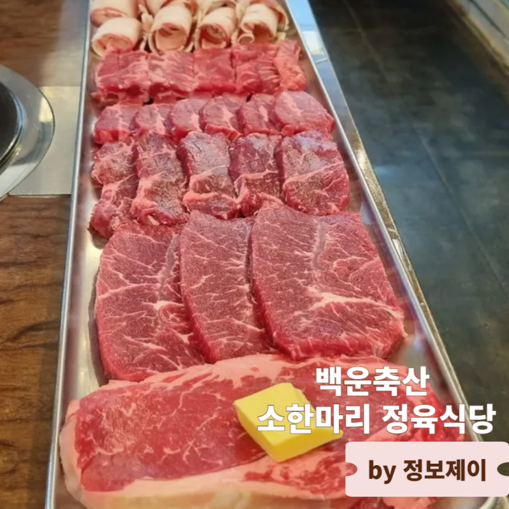  회식장소로 좋은 일산 라페스타 맛집 백운축산 소한마리 정육식당