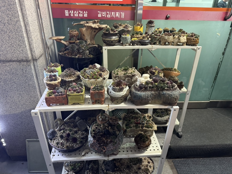 진미돌생삼겹살 사진 4