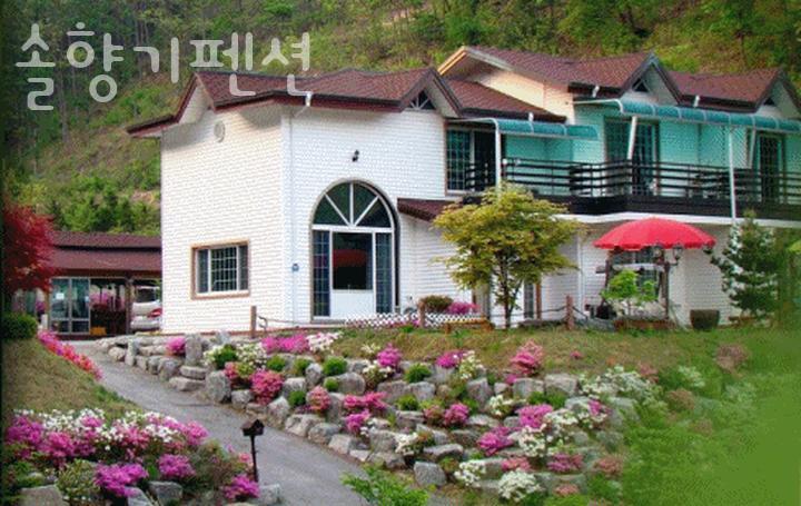 솔향기펜션 사진 2