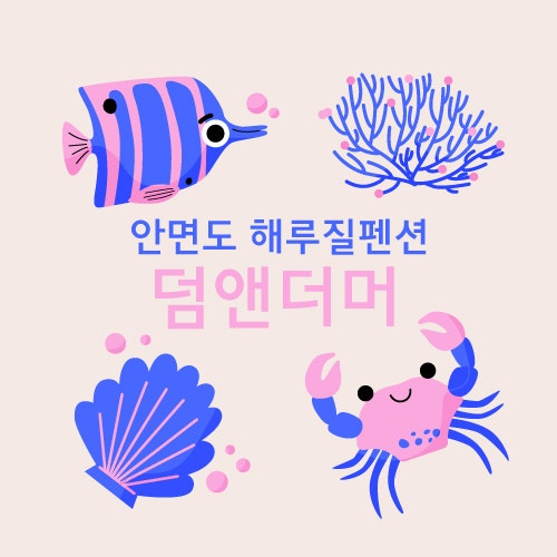 안면도 해루질 소라 꽃게 덤앤더머 펜션