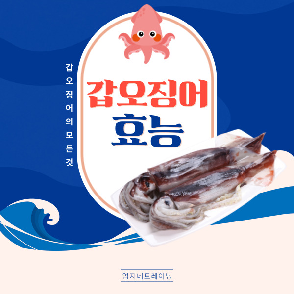  갑오징어 효능과 해산물의 중요성