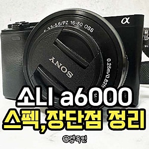 초보자용 미러리스 카메라 디카 추천 소니 알파6000(a6000) 장단점과 스펙