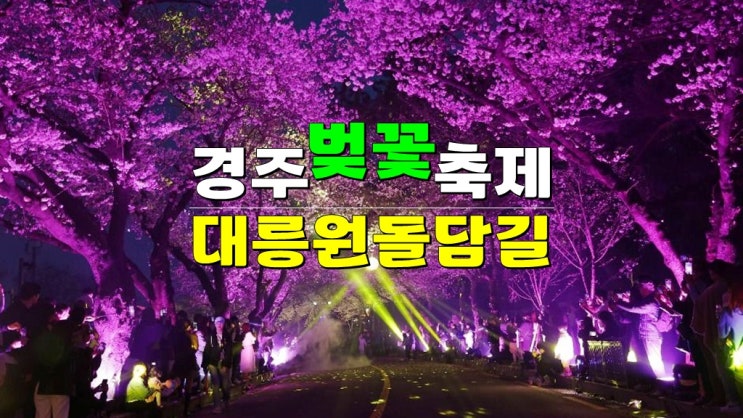 경북 4월 가볼만한곳 · 2025 경주 대릉원돌담길 벚꽃 축제 기본정보 개화시기 주차 경북 4월 가볼만한곳 · 2025 경주 대릉원돌담길 벚꽃 축제 기본정보 개화시기 주차