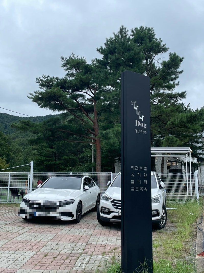 나나도그