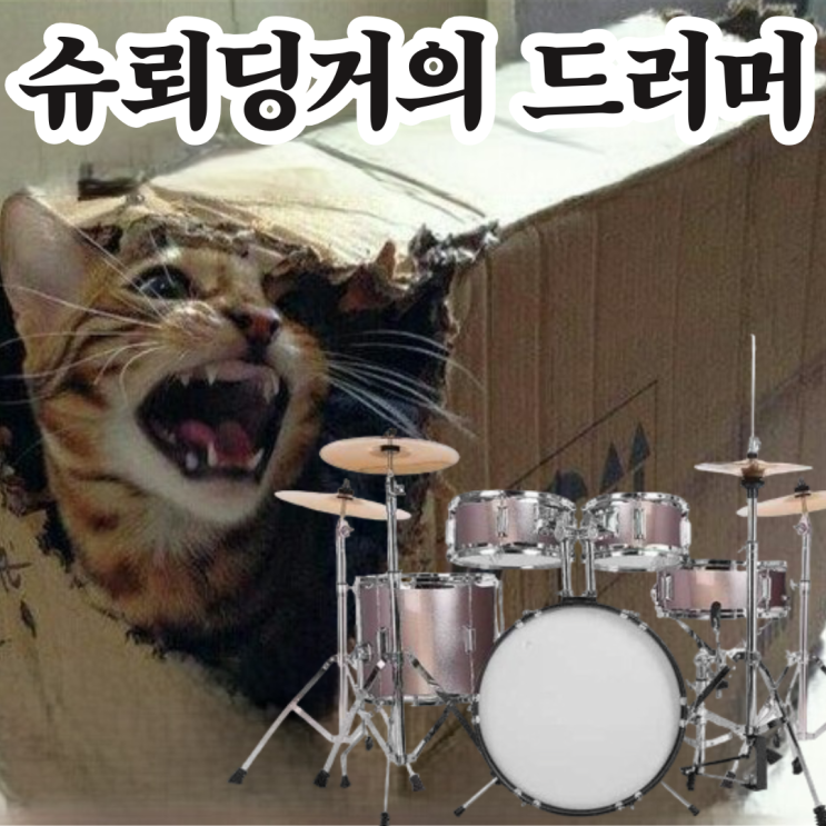  부산 드럼학원 23회차 레슨후기 (슈뢰딩거의 드러머)