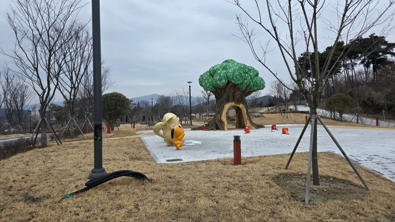 사진 10