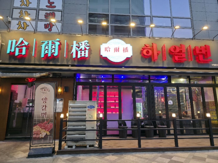  [세종/나성동] 잡내없이 깔끔한 양꼬치 하얼번