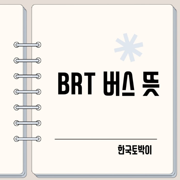  BRT 버스 뜻 (간선급행버스체계)