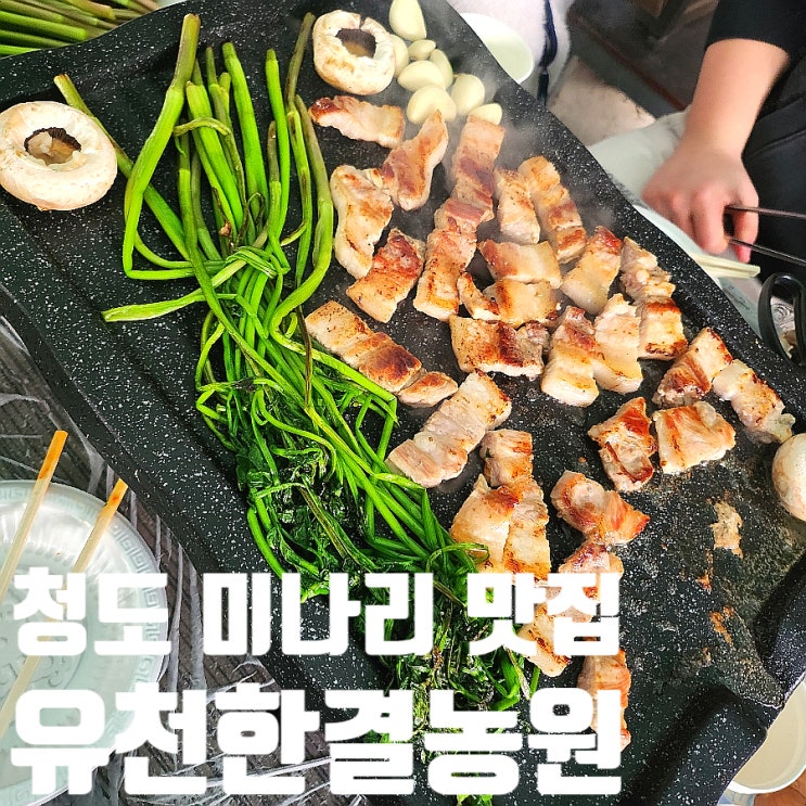  청도 한재 미나리 파는 곳 유천 한결 농원 삼겹살 구워먹는 축제 맛집