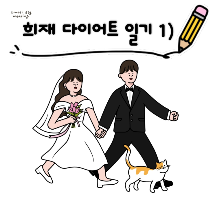 2025년 장기간 다이어트 시작, 식단 방법 및 건강하게 살 빼기