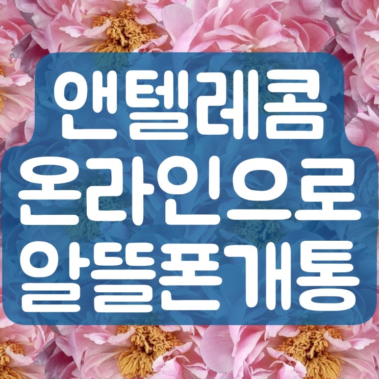  앤텔레콤 알뜰폰 개통, 온라인으로 혼자 해봤습니다
