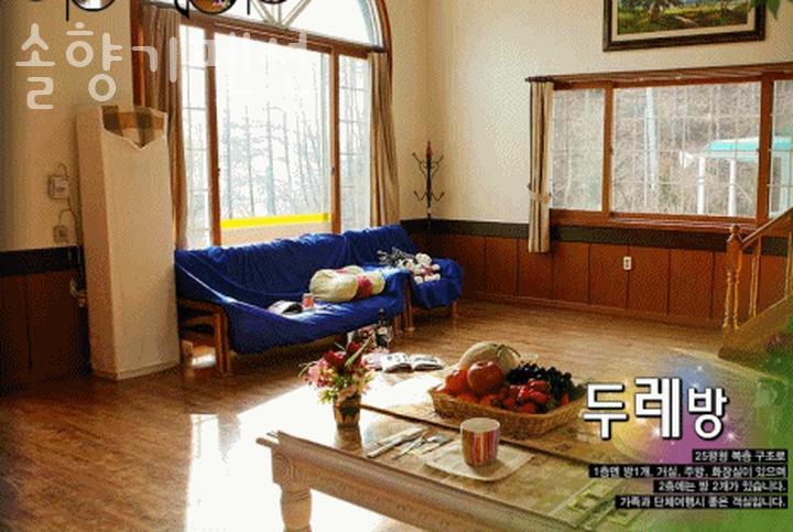 솔향기펜션 사진 3
