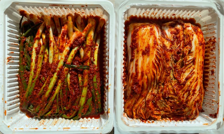  대전 선화동매운실비김치 포장 실비김치 실비파김치 택배 맛집 추천