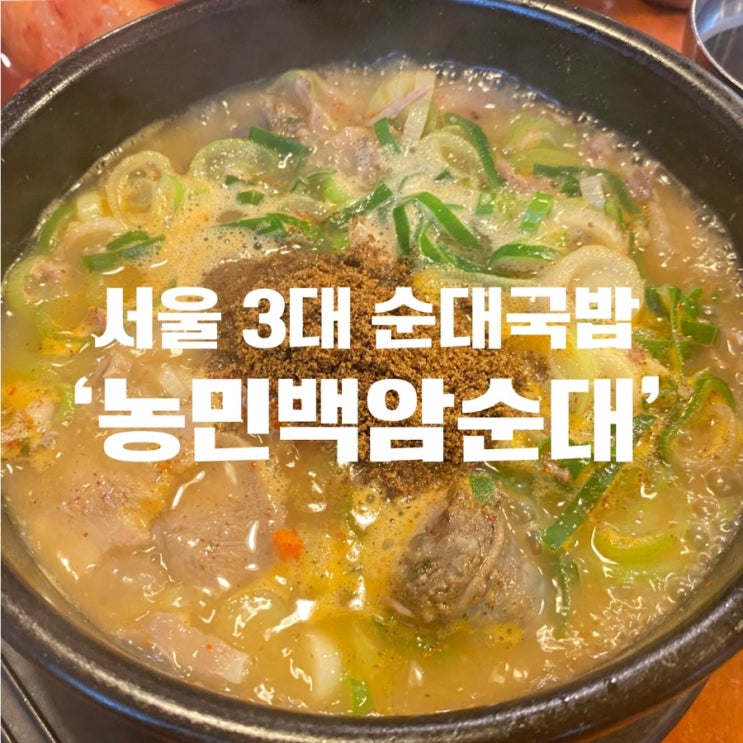  [선릉순대국밥] 꿀꿀이의 내돈내산 최애 순댓국집  ‘농민백암순대’
