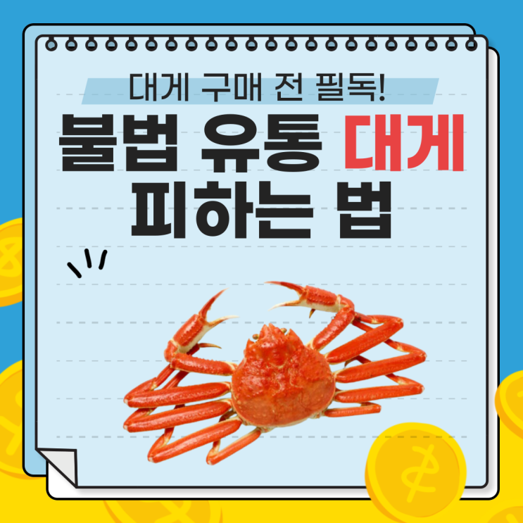  국내산 vs 일본산 대게 구별법! 불법 유통 대게 피하는 법