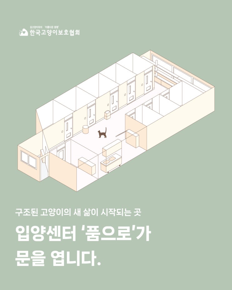  한국고양이보호협회 품으로 입양센터 카카오 같이가치로 함께해요