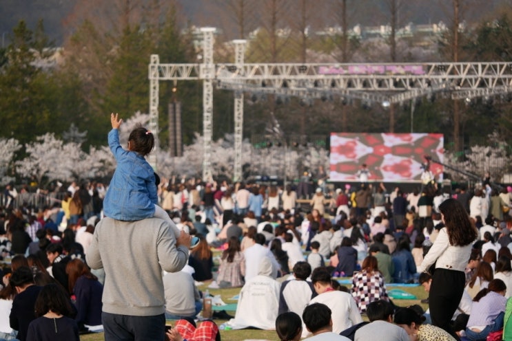  2025 대덕물빛축제 대전 야경 명소! 루미페스타·불꽃놀이·뮤직페스티벌 일정 & 꿀팁