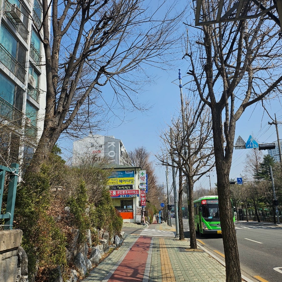 스시영 사진 1