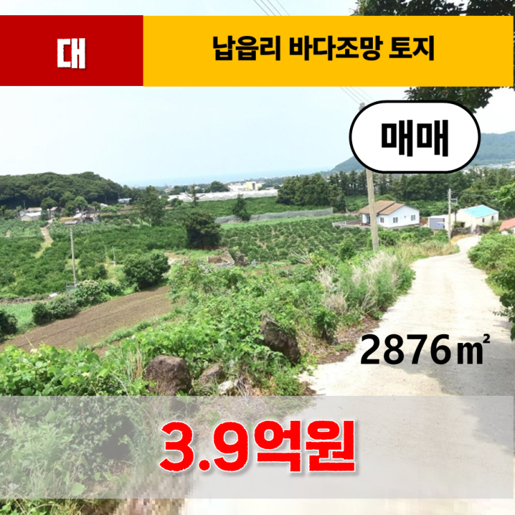  《제주도토지》 애월읍 납읍리 바다조망 토지 매매