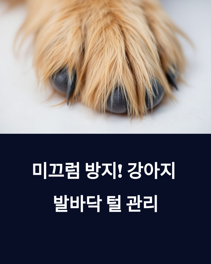  미끄럼 방지! 강아지 발바닥 털 관리, 이것만 알면 걱정 끝!