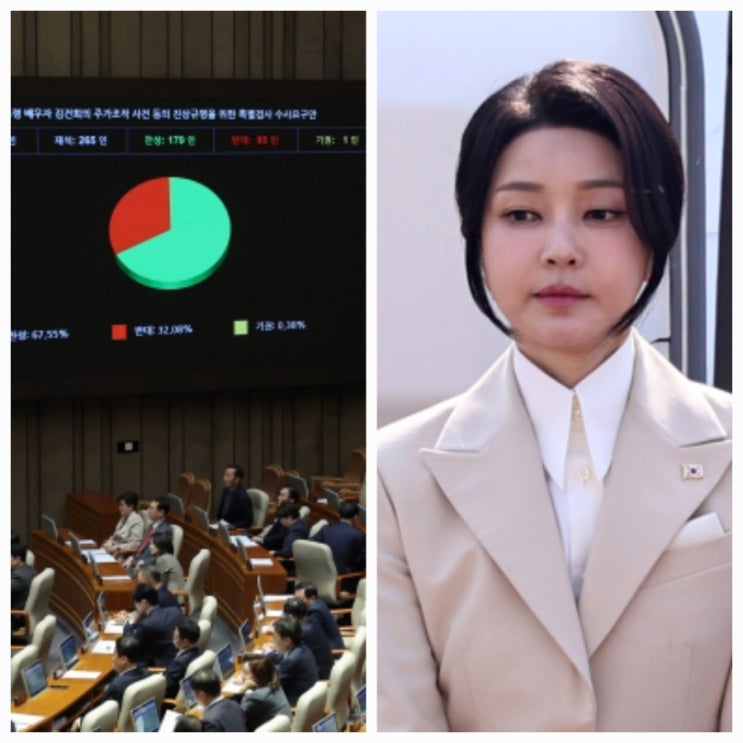 김건희 여사 상설특검 국회 본회의 통과 투표 결과 김건희 여사 상설특검 국회 본회의 통과 투표 결과