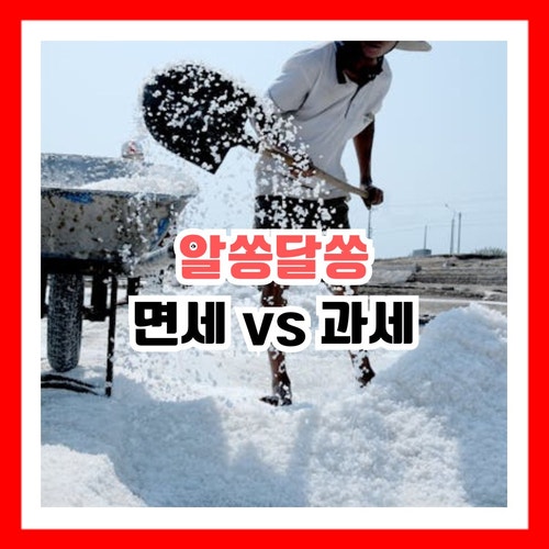  알쏭달쏭 부가가치세 면세품목과 과세품목의 구분