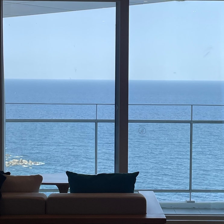  2박3일 속초여행 홈마리나 카시아 유람선야식 화진호이선장 청초수물회 추천