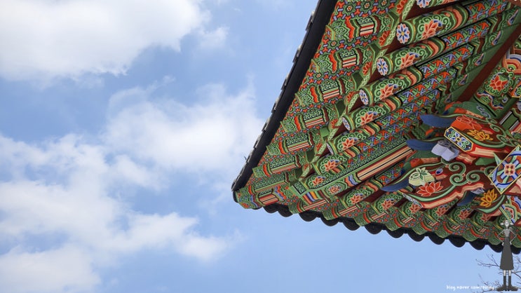  봄바람 부는 파주 심학산 둘레길(약천사)