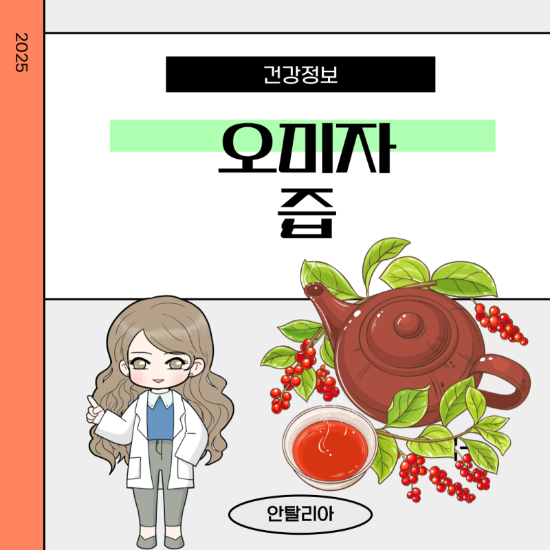 오미자 효능 즙 섭취법