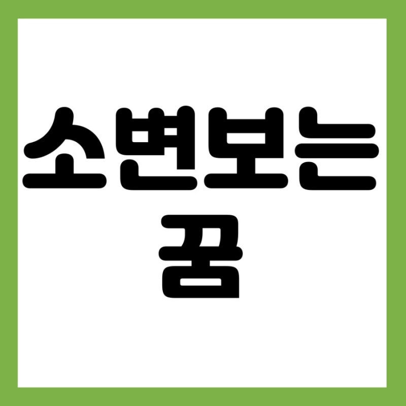 소변보는꿈 소변시원하게보는꿈 소변많이보는꿈 옷에소변보는꿈 화장실에서소변보는꿈